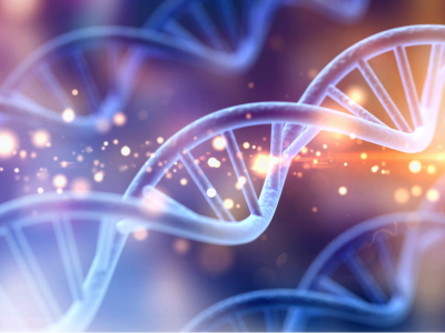Transforming Healthcare with AI image number null